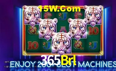 365Brl São Paulo - Jogo Providers