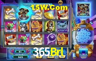 365Brl Rio de Janeiro - Slot Strategy